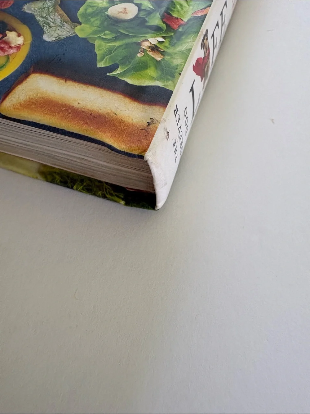 The Forever Dog Life - Dog Care & Recipe Book (White/Cream Cover)
